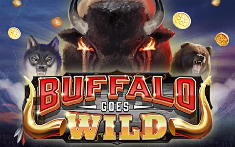 Start playing and enjoy Buffalo Goes Wild at Melbet casino.
